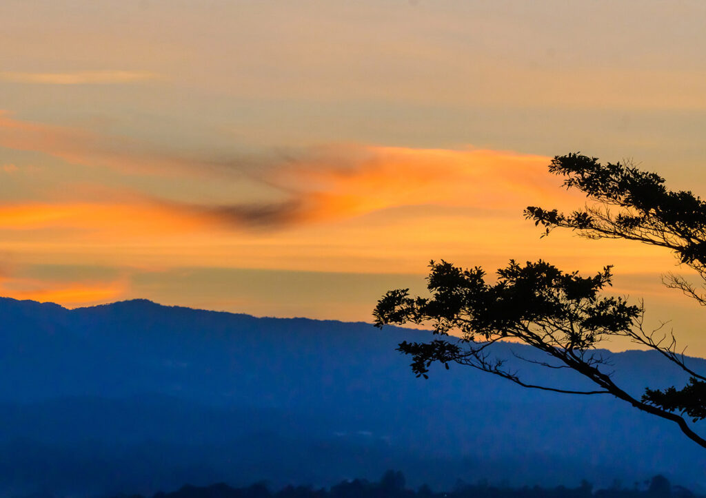 The programs featured image